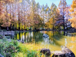 貝柄山公園の風景