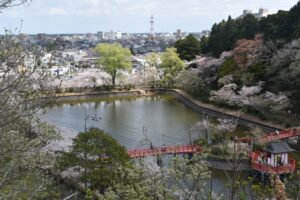 茂原公園の風景