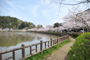 市内八鶴湖の風景